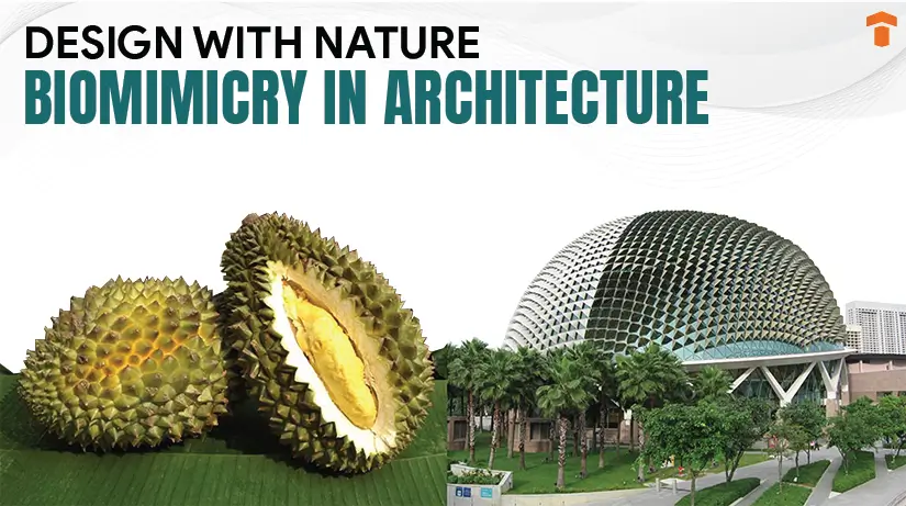 Nature Inspired Architecture Natural Building Inspired By Nature Nature Inspired Architecture Natural Building Inspired By Nature