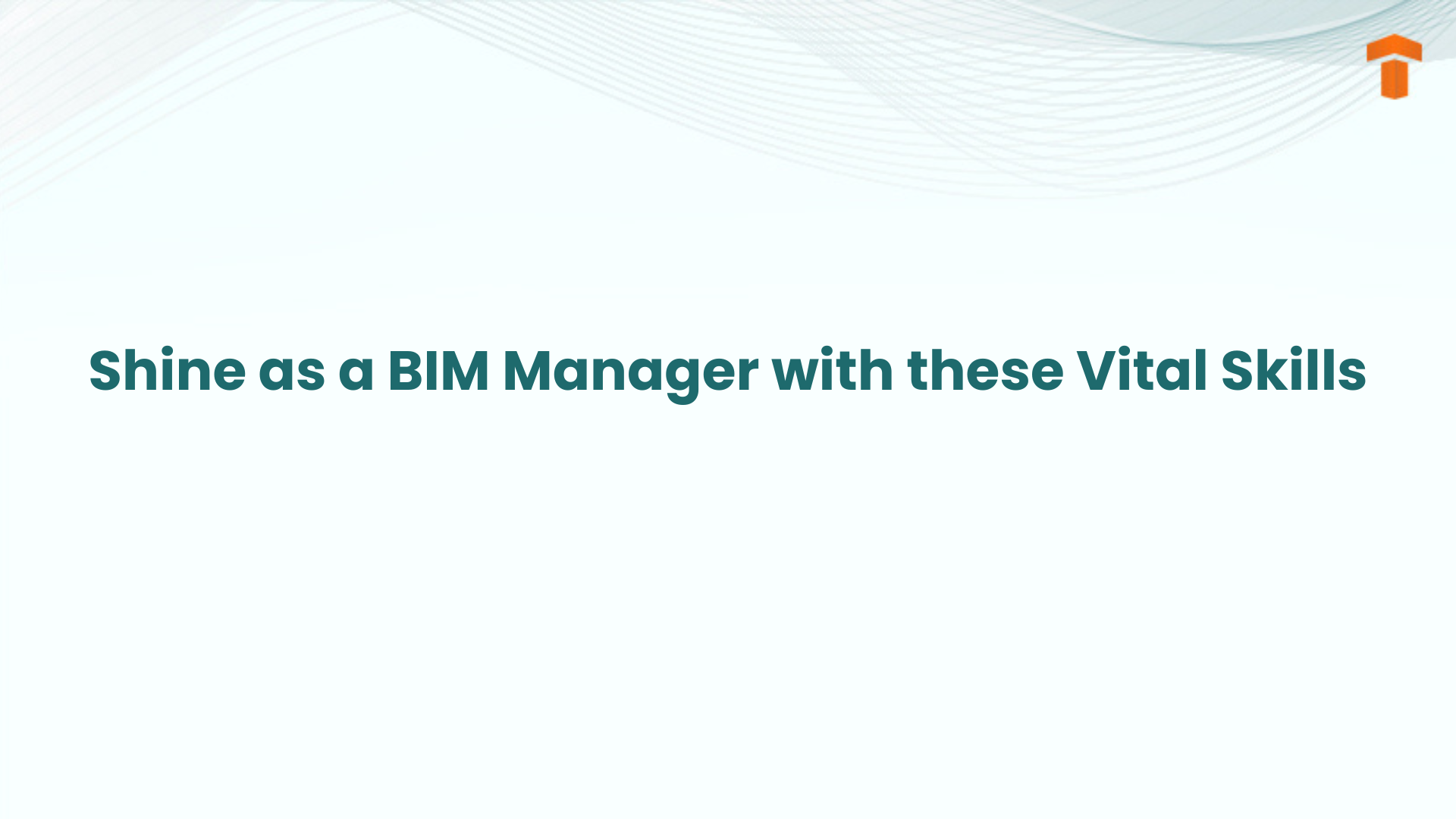 bim manager